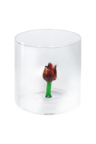 Borosilicaatglazen Waterglas - 25 cl