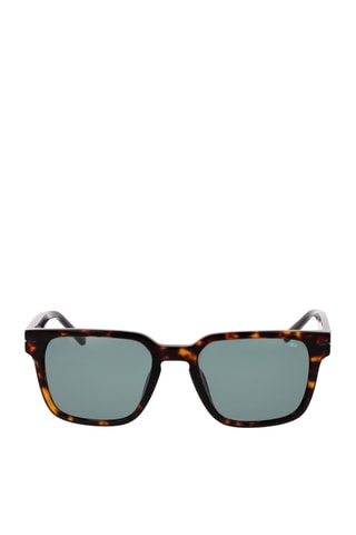 Lunettes de soleil homme - Catégorie 2 - Fila - Marron