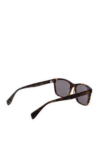 Lunettes de soleil homme - Catégorie 3 - Ted Baker - Marron