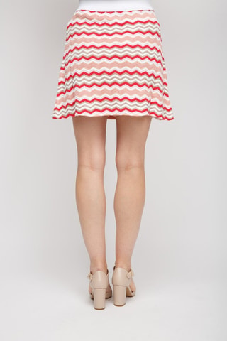 Jupe patineuse - Blanc et rouge