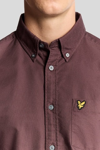 Camisa regular fit - Marrón