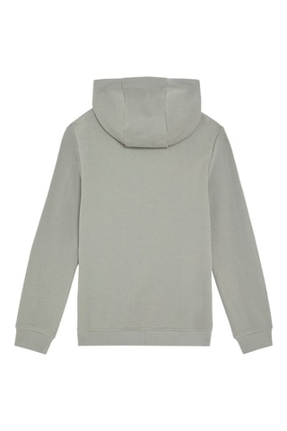 Sudadera con capucha - gris claro