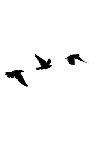 3 Wanddecoraties Vogels - 13 x 15 / 9 x 21 / 14 x 20 cm - Zwart