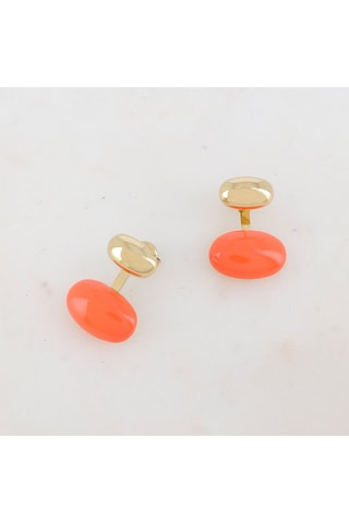 Puces - Orange