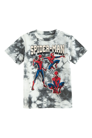 T-shirt Spider-Man DC Comics - Gris