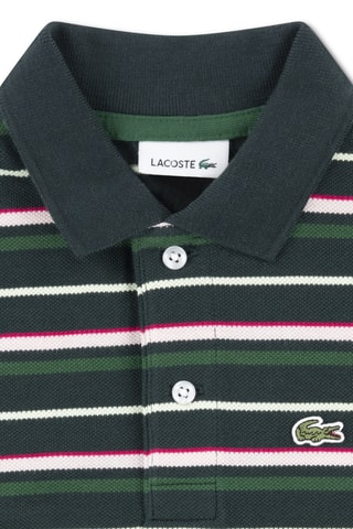Polo - Vert