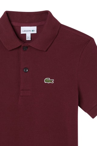 Polo - Bordeaux