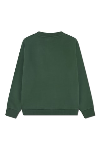 Sweat - Vert