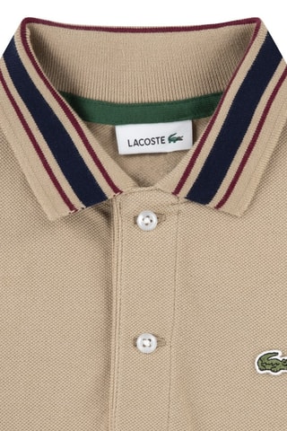 Polo - Marron
