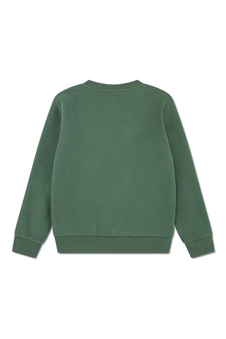 Sweat - Vert