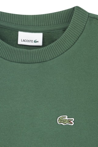 Sweat - Vert