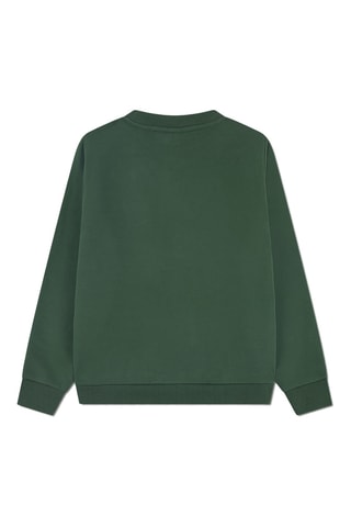 Sweat - Vert