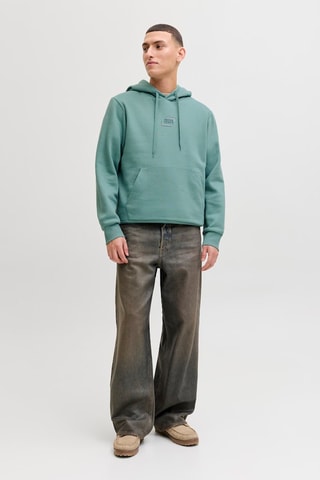 Sweat regular em algodão biológico com capuz - Verde-água