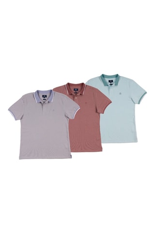 2 Polo's Regular Fit - Blauw en paars