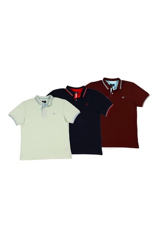 2 Polo's Regular Fit - Marineblauw en bordeauxrood