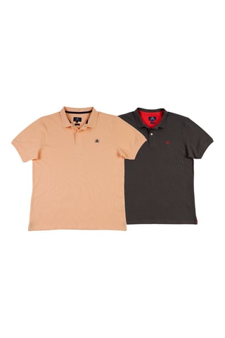2 Polo's Regular Fit - Grijs en lichtgeel