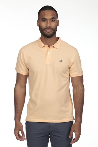 2 Polo's Regular Fit - Grijs en lichtgeel