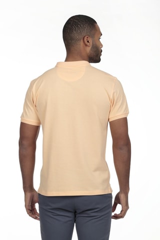 2 Polo's Regular Fit - Grijs en lichtgeel