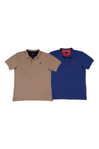 2 Polo's Regular Fit - Blauw en lichtbruin