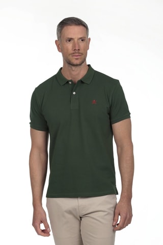 2 Polo's Regular Fit - Groen