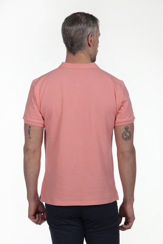 2 Polo's Regular Fit - Grijs