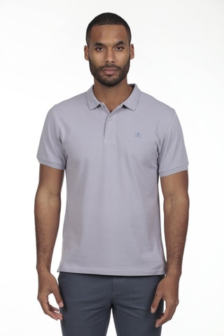 2 Polo's Regular Fit - Grijs