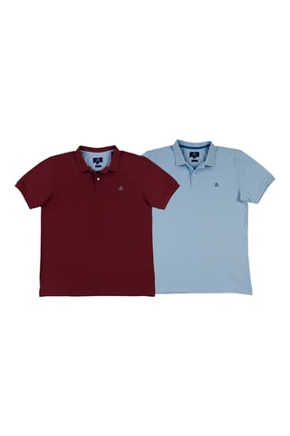 2 Polo's Regular Fit - Lichtblauw en bordeauxrood