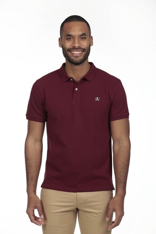 2 Polo's Regular Fit - Lichtblauw en bordeauxrood