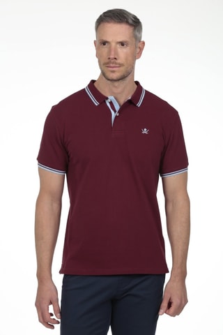 Polo Regular Fit - Bordeauxrood