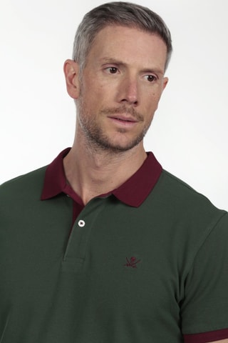 Polo Regular Fit - Groen