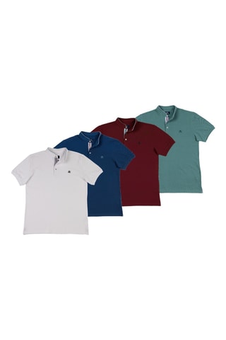 4 Polo's Regular Fit - Groen, marineblauw, bordeauxrood en wit