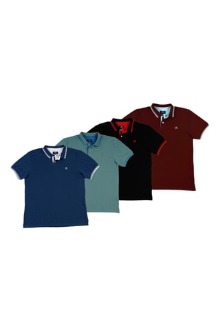 4 Polo's Regular Fit - Blauw, zwart, bordeauxrood en groen