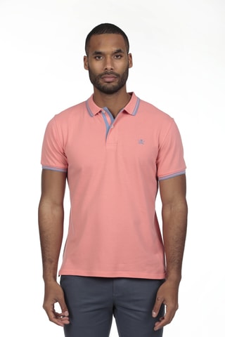4 Polo's Regular Fit - Blauw, kaki, grijs en roze