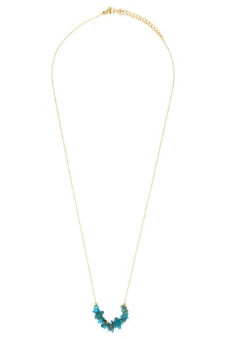 Ketting Apatieten