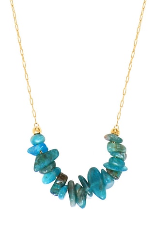 Ketting Apatieten