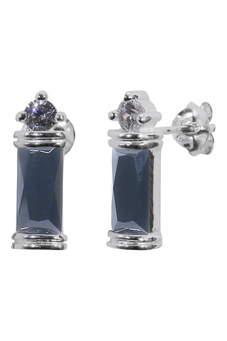 Puces - Argent