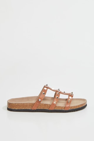 Mules - Camel