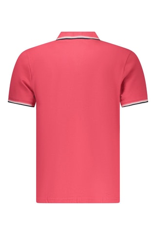 Polo - Rose