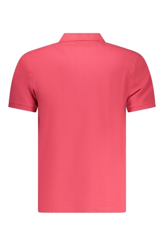 Polo - Rose