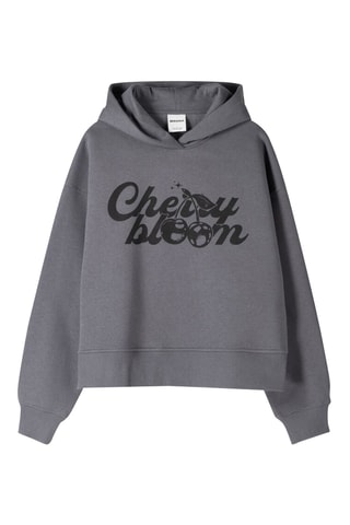 Sudadera con capucha - Gris