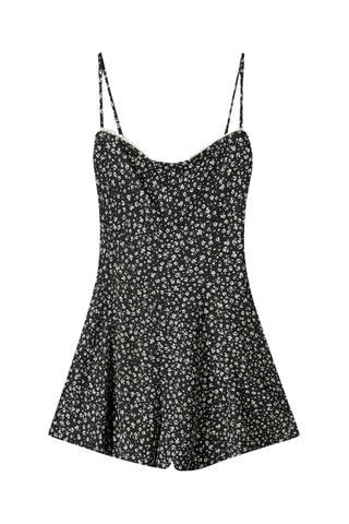 Mono - Negro