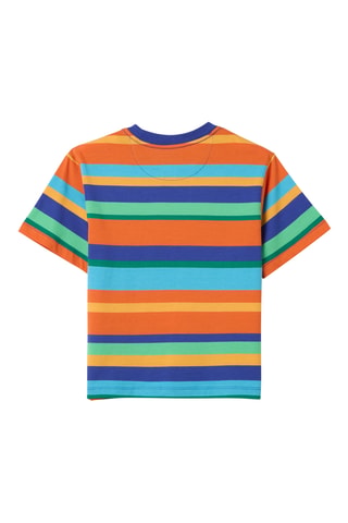 Camiseta - Multicolor