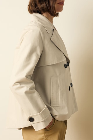 Gabardina - Rosa