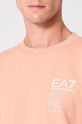 Sweat - Pêche 