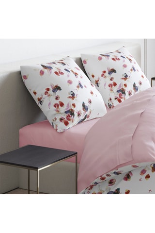 2 fundas de almohada de satén de algodón 80 hilos/cm² Aurore - Blanco