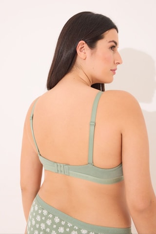 Reggiseno - Verde