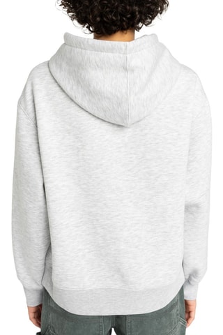 Sweat à capuche Co Po W - Gris chiné - Element