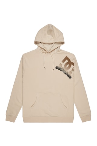 Sweat à capuche - Beige - DC Shoes