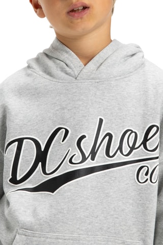 Felpa in pile con cappuccio - Grigio melange - DC Shoes