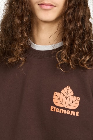 Sweat polaire - Marron - Element